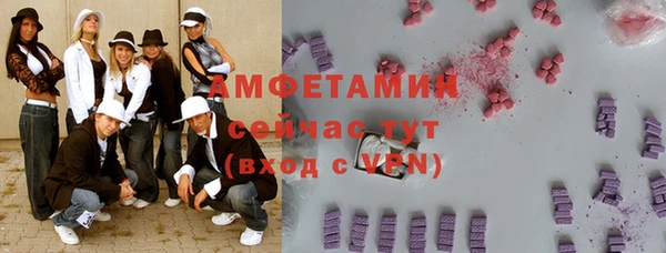 прущие грибы Ельня