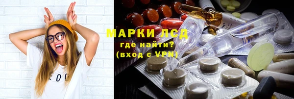 прущие грибы Ельня