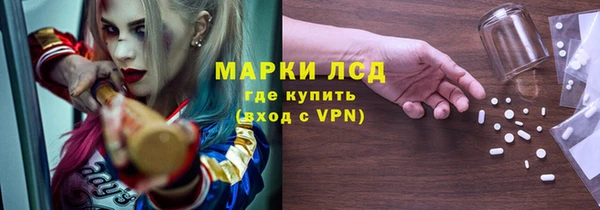 прущие грибы Ельня