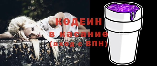 прущие грибы Ельня