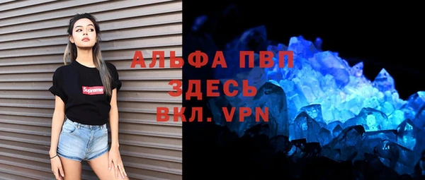 прущие грибы Ельня