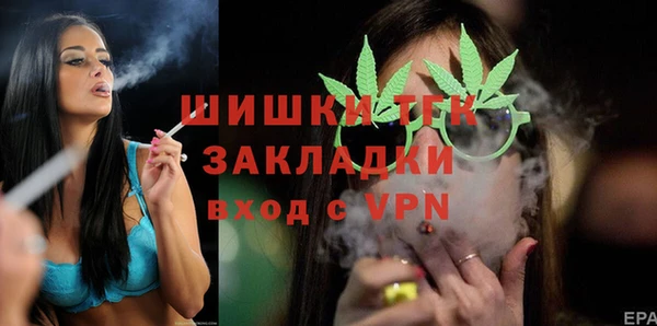 прущие грибы Ельня