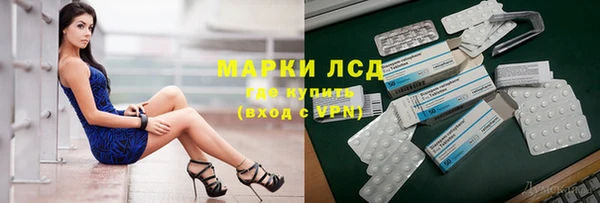 прущие грибы Ельня