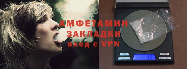 прущие грибы Ельня