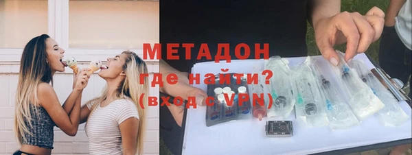 прущие грибы Ельня