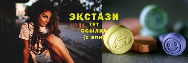 дживик Елабуга