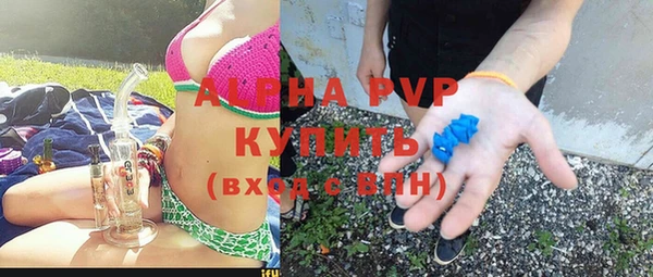 дживик Елабуга