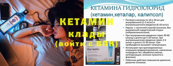 прущие грибы Ельня