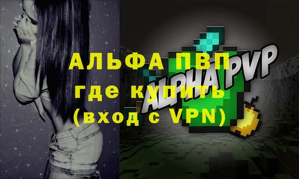 прущие грибы Ельня