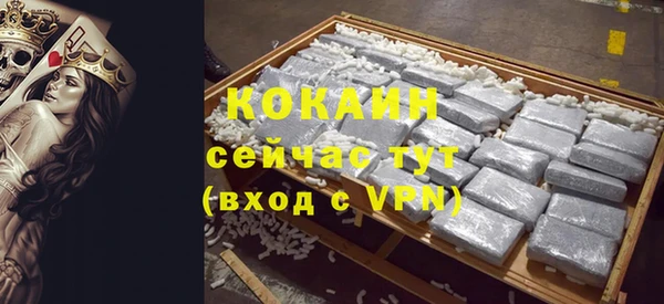 дживик Елабуга