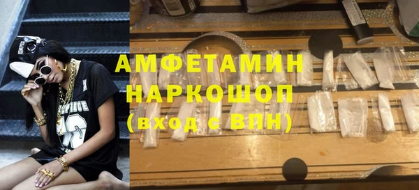 прущие грибы Ельня