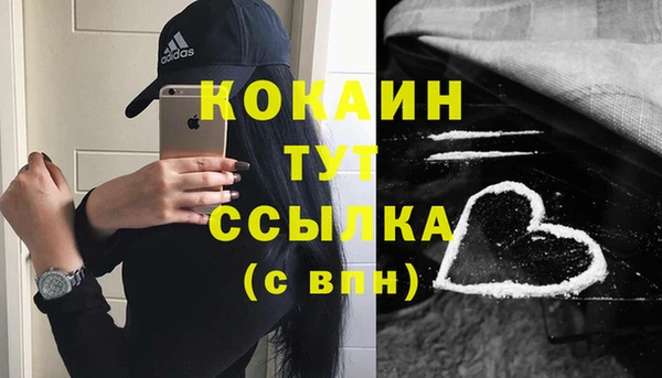 прущие грибы Ельня